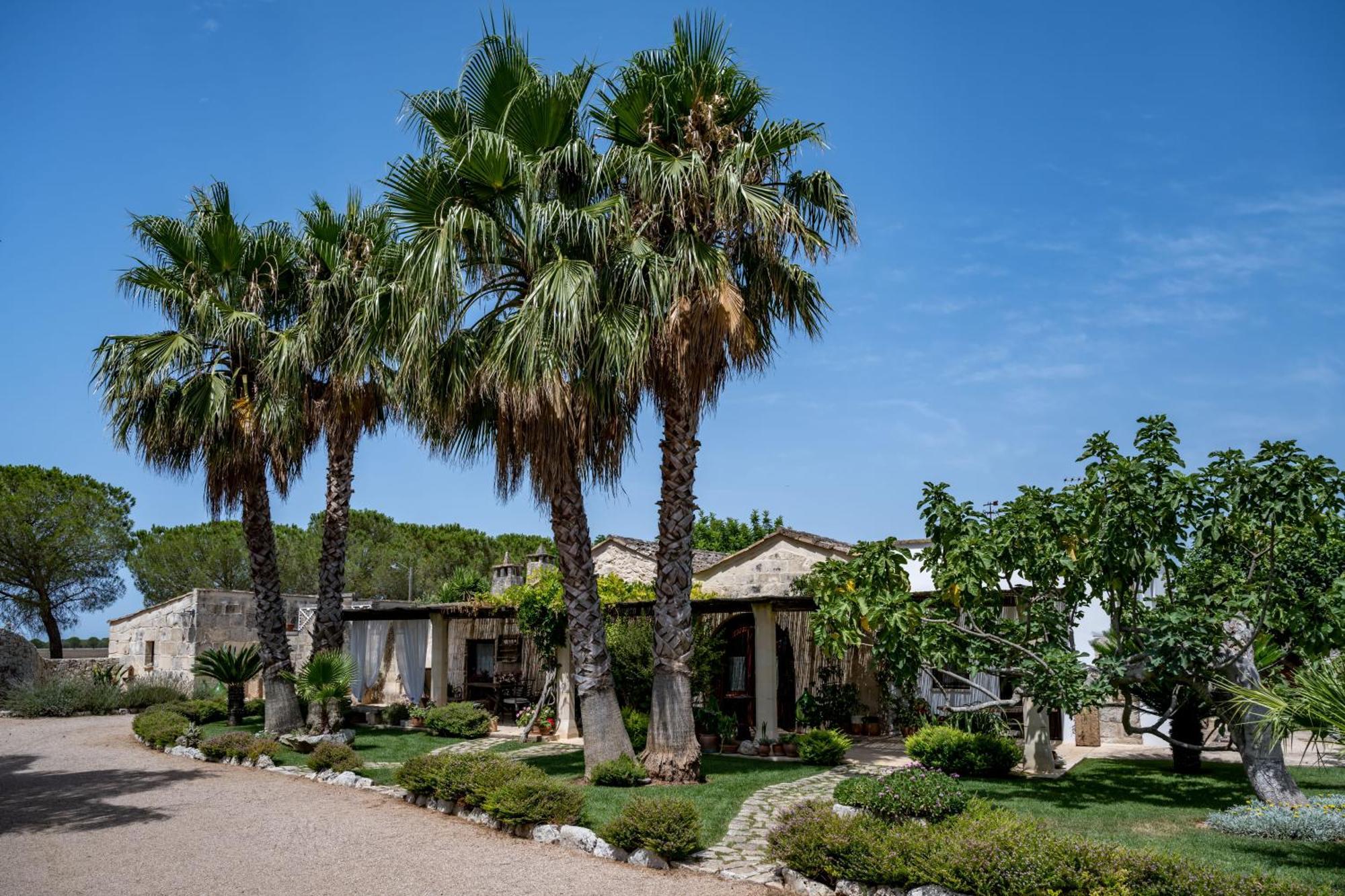 B&B Casina Montana Corigliano dʼOtranto Exterior foto