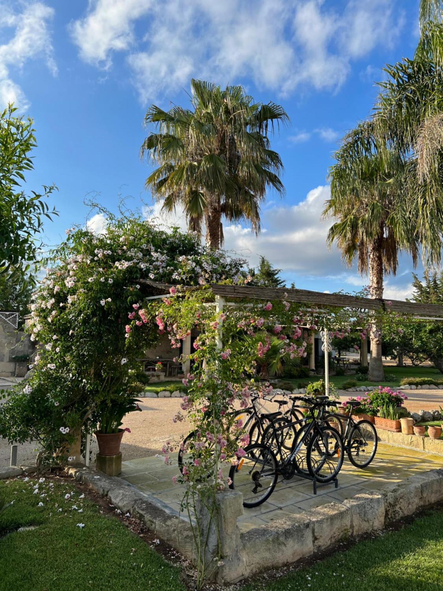 B&B Casina Montana Corigliano dʼOtranto Exterior foto