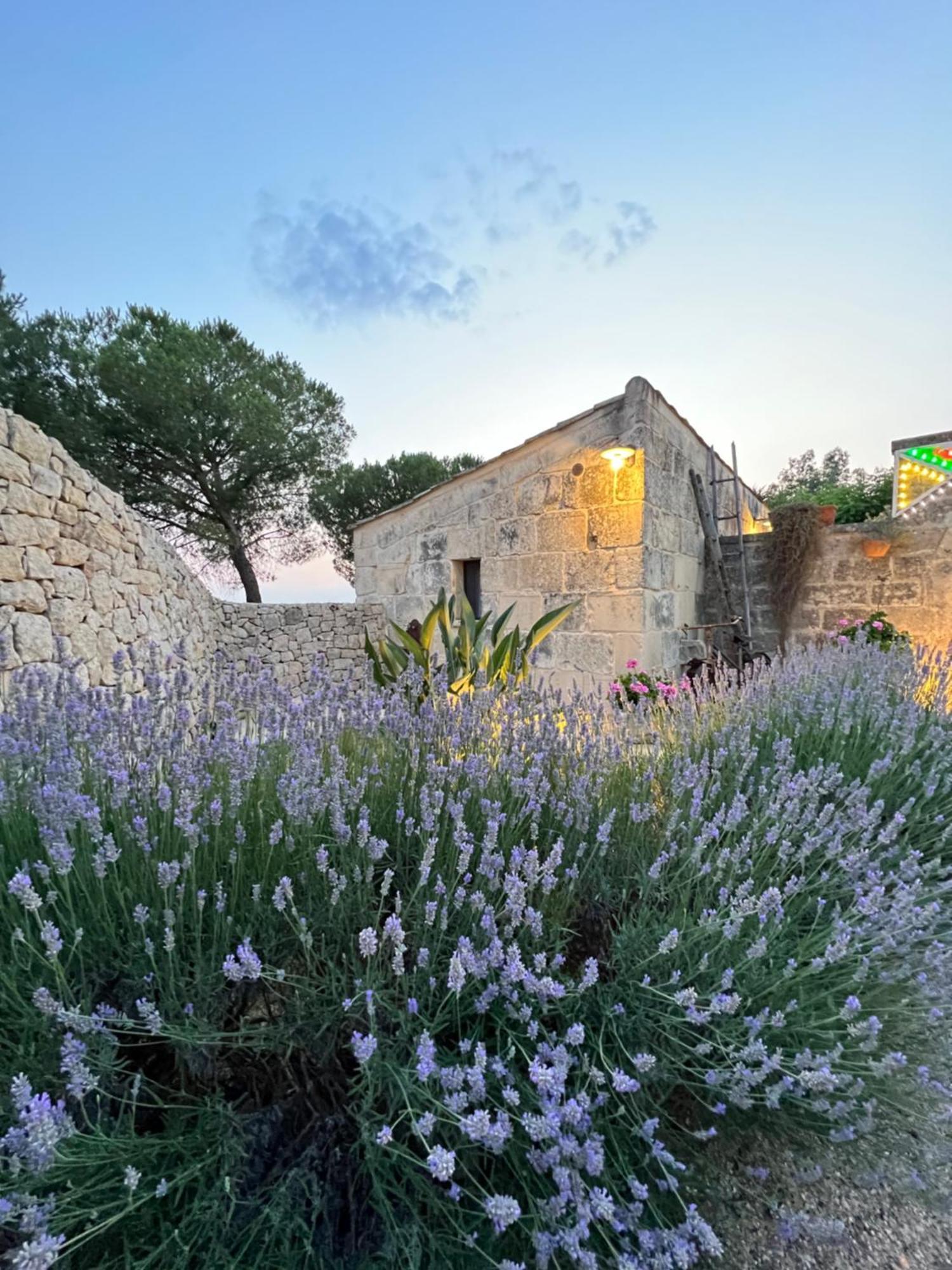 B&B Casina Montana Corigliano dʼOtranto Exterior foto